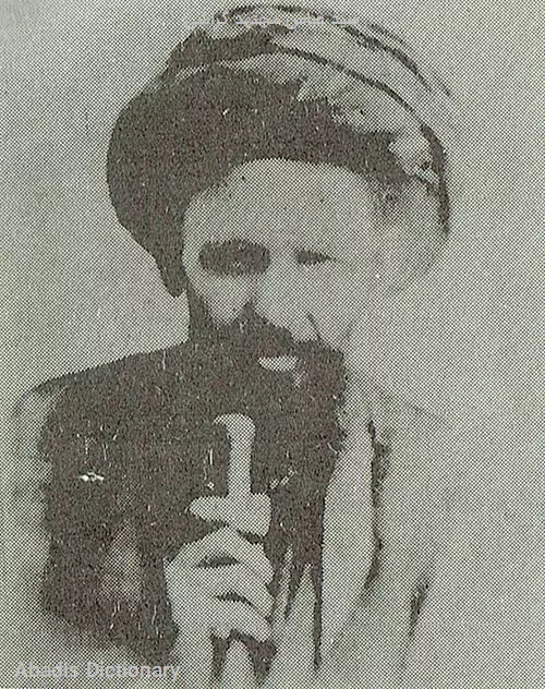 سید عباس مجتهد گراشی